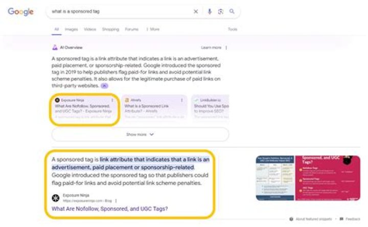 Mastering Your Website Rank On Google: A Complete Guide